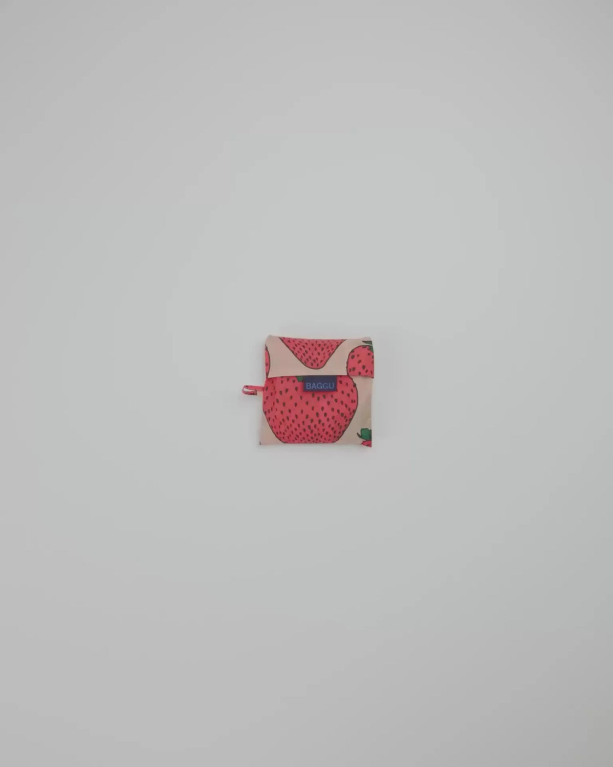 STANDARD BAGGU - US 1493